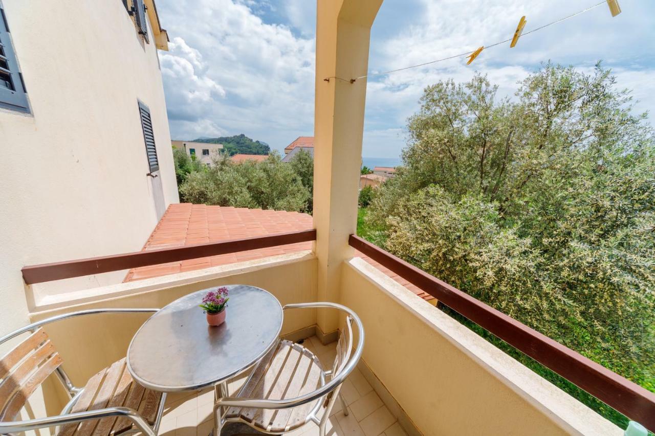 Gregovic Family Apartments Petrovac Eksteriør billede
